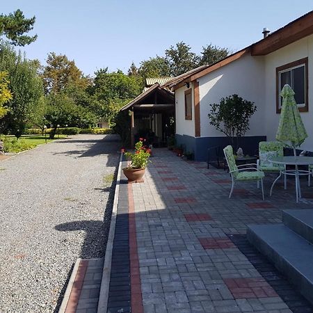 Lodge Mirador Chillán Esterno foto